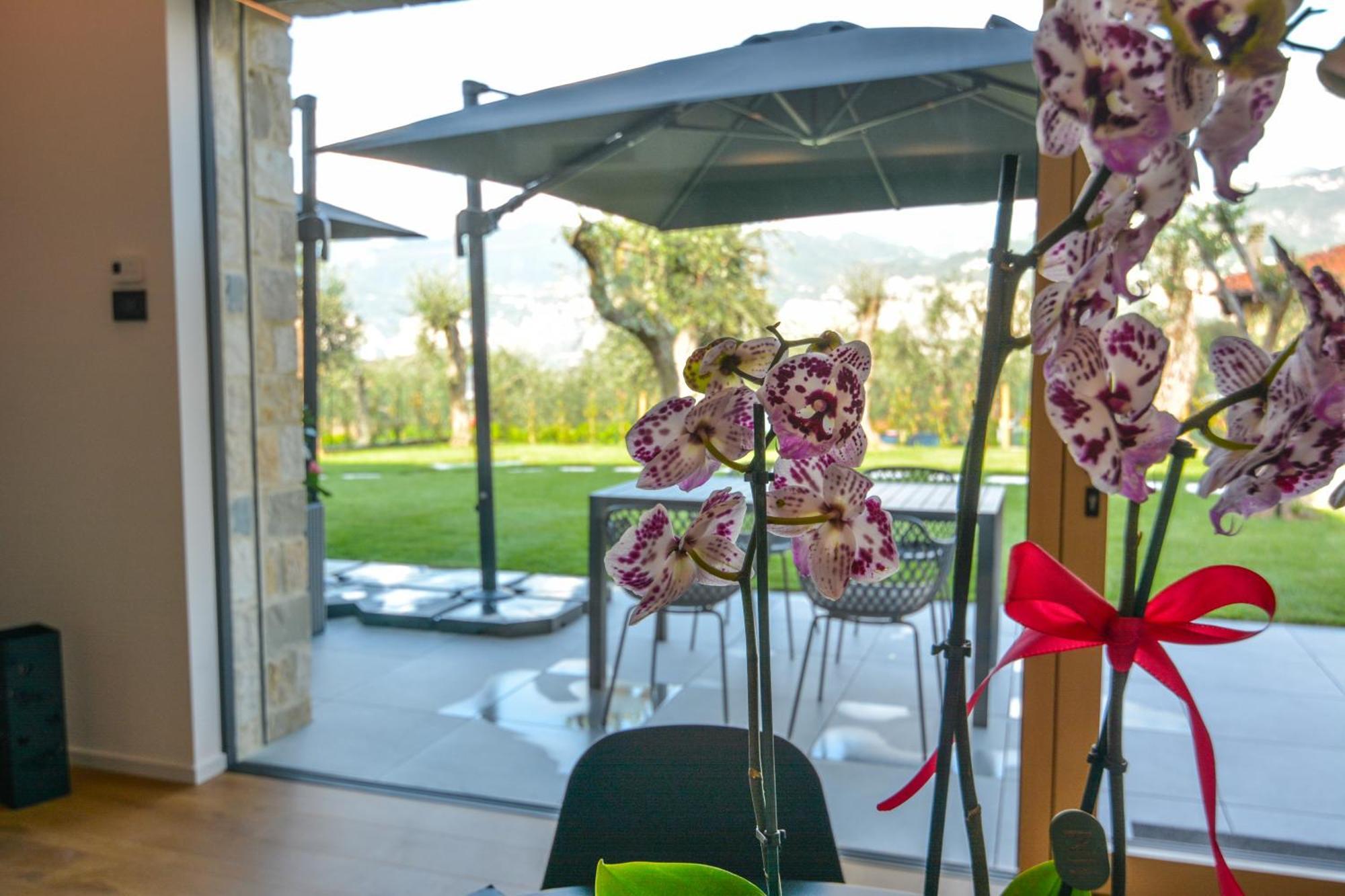 Olivo Luxury Apartments Malcesine Bagian luar foto
